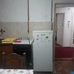 Triangle Проживание в семье *