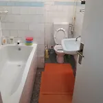 Проживание в семье Triangle *