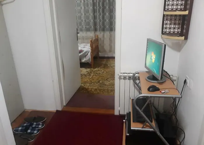 Triangle Проживание в семье *